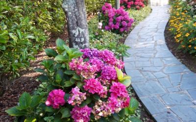 Chambre Double Standard avec Salle de Bains Commune Chambre Double Standard avec Salle de Bains Commune