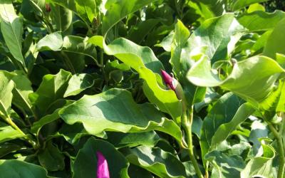 Chambre Double avec Salle de Bains Privative Chambre Double avec Salle de Bains Privative