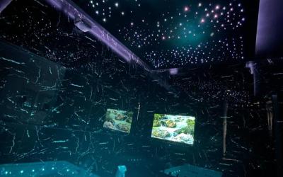 Appartement 1 Chambre Appartement 1 Chambre