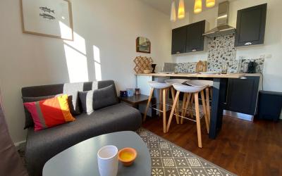 Appartement 1 Chambre