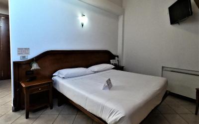 Camera Superior Deluxe Matrimoniale/Doppia con Letti Singoli 