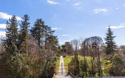 Junior Suite con Divano-Letto 