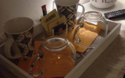 Camera Doppia con Letti Singoli con Accesso Disabili