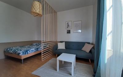 Appartement 1 Chambre