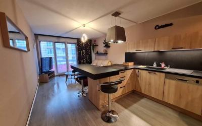 Appartement 1 Chambre