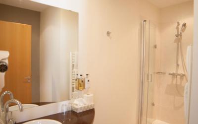 Chambre Lits Jumeaux Standard avec Vue sur Jardin