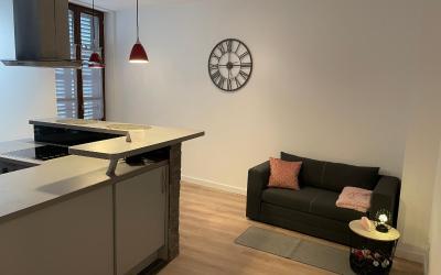 Appartement 1 Chambre