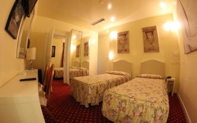 Camera Standard Matrimoniale/Doppia con Letti Singoli