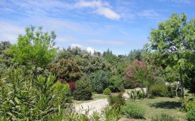 Appartement Confort (2 Adultes) Appartement Confort (2 Adultes)