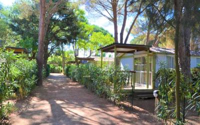 Bungalow (5 Adultes)