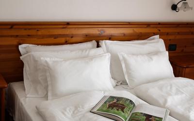 Camera Standard Matrimoniale/Doppia con Letti Singoli