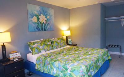 Deluxe King Bed with Sleeper sofa