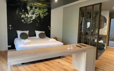 Suite avec Accu00e8s au Spa