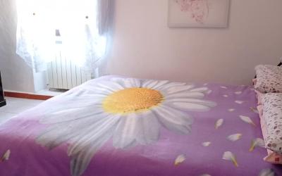 Camera Matrimoniale Standard con Bagno in Comune