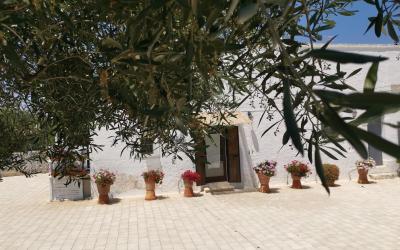 Appartamento - Piano Terra