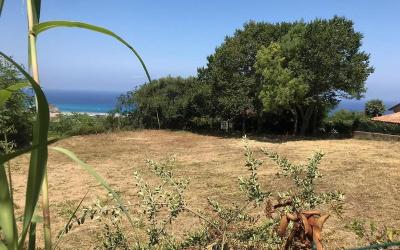 Appartamento - Piano Terra