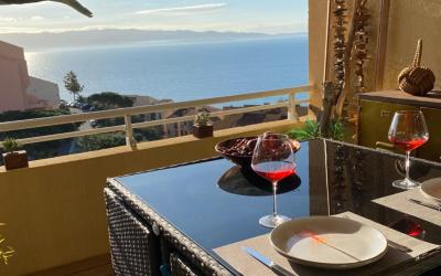 Appartement 1 Chambre