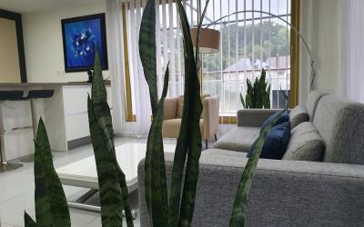 Appartment de Luxe 2 Chambres Appartment de Luxe 2 Chambres