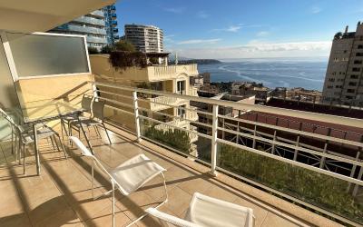 Appartement 1 Chambre