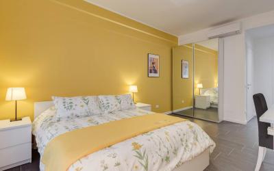 Camera King Superior 