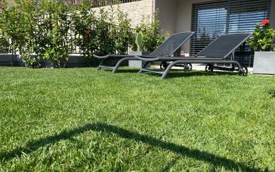 Appartamento con 1 Camera da Letto