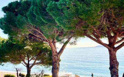 Appartement 1 Chambre Appartement 1 Chambre