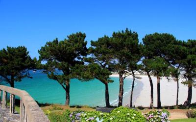 Appartement 1 Chambre