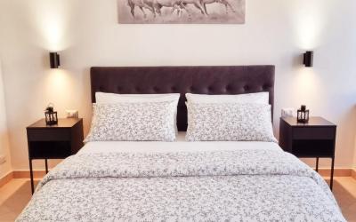 Appartamento con 1 Camera da Letto