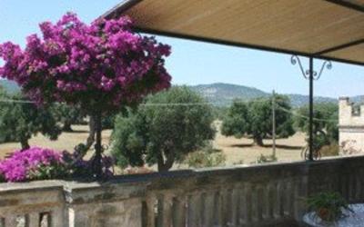 Appartamento con 1 Camera da Letto