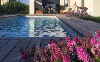 Appartement 1 Chambre Appartement 1 Chambre