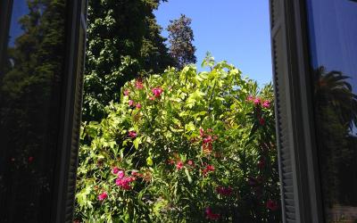 Studio Supu00e9rieur (2 Adultes) Studio Supu00e9rieur (2 Adultes)