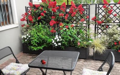 Appartamento con 1 Camera da Letto