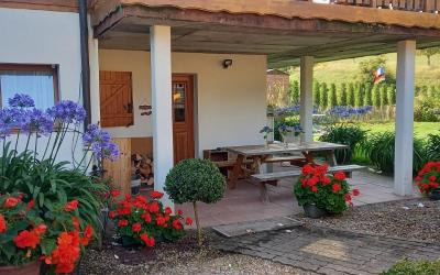 Appartement 1 Chambre