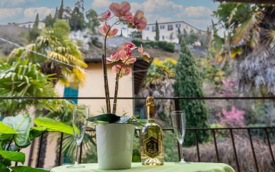 Appartamento con 1 Camera da Letto