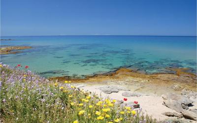 Appartamento con 1 Camera da Letto