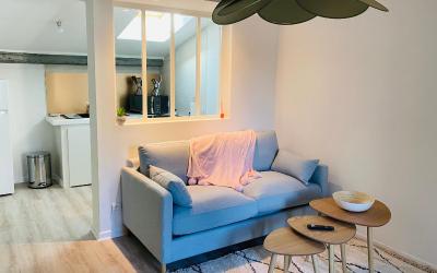 Appartement 1 Chambre