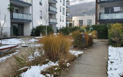 Appartement 1 Chambre