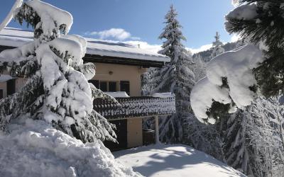 Appartement 1 Chambre