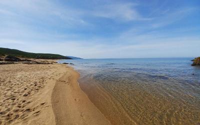 Appartamento con 1 Camera da Letto