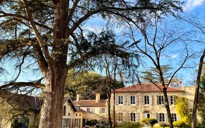 Suite - Vue sur Jardin Suite - Vue sur Jardin
