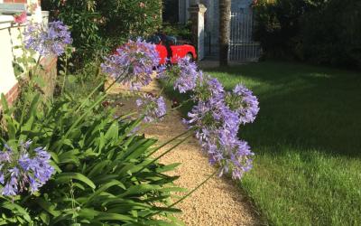 Chambre Lit Queen-Size avec Baignoire Spa Chambre Lit Queen-Size avec Baignoire Spa