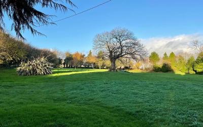 Studio avec mezzanine