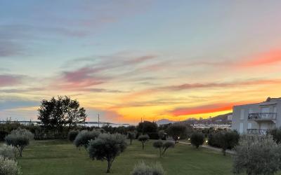 Appartement 1 Chambre Appartement 1 Chambre