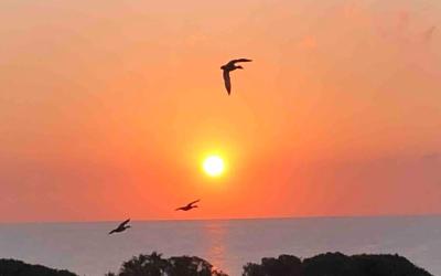 Appartement 1 Chambre Appartement 1 Chambre