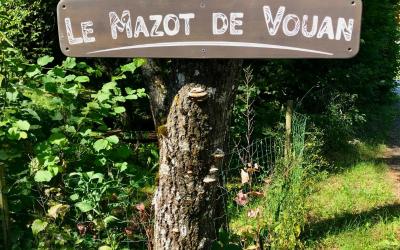 Chalet 1 Chambre Chalet 1 Chambre