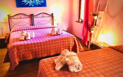 Camera Tripla Standard