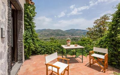 Camera Quadrupla Superior