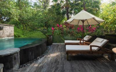 Suite dengan Kolam Renang Suite dengan Kolam Renang