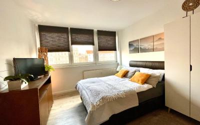 Apartment mit 1 Schlafzimmer