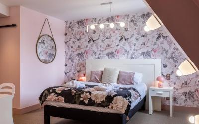 Mini Suite 